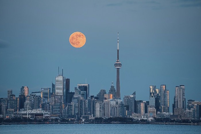 Market Insight for July 18