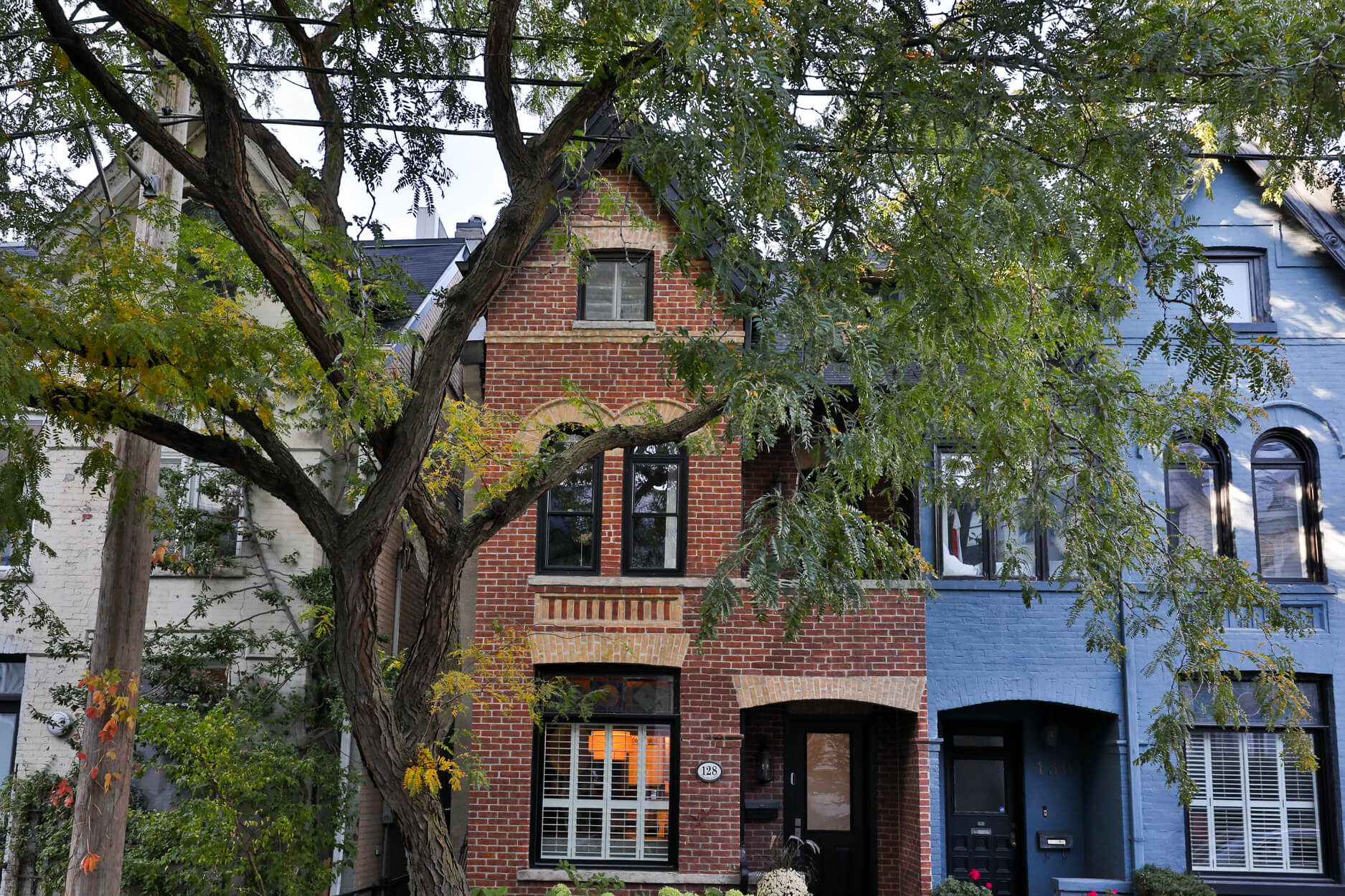 1-128CollierStreet 12 Garfield Avenue